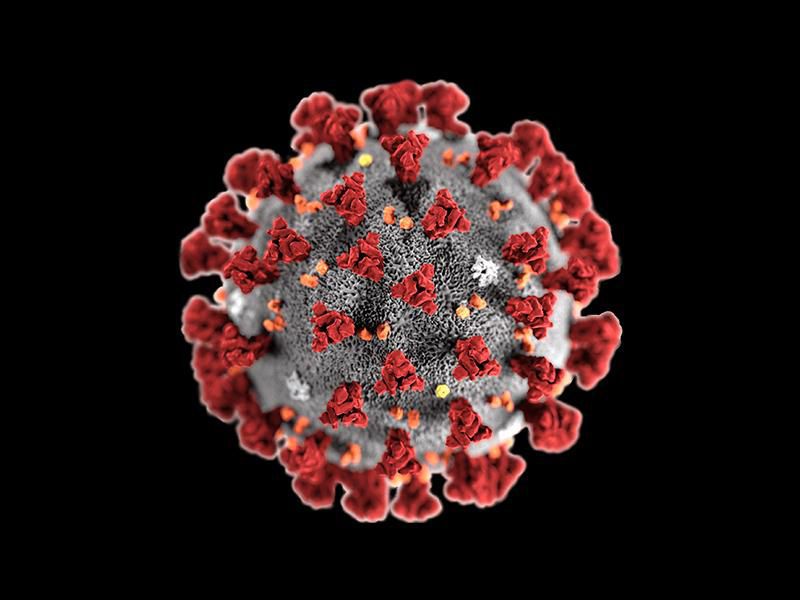 Attenzione al malware Coronavirus, la nuova minaccia del web!